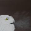 "White Owl Energy"    Acrylic on wood    25 x 32 cm    2012